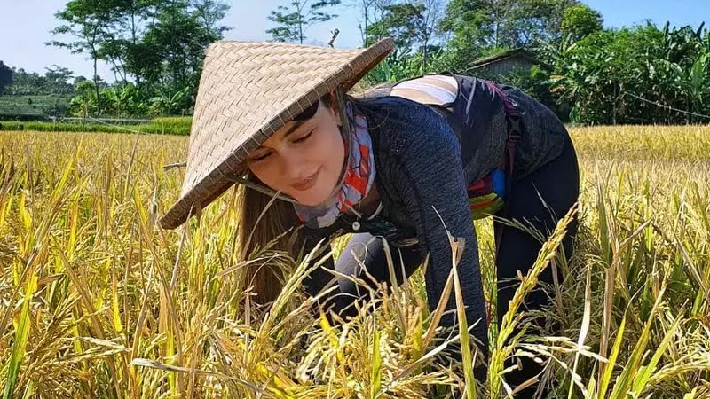 Gengs, Penduduk Indonesia 279,04 Juta, Warga Bumi 8,09 Miliar Jiwa