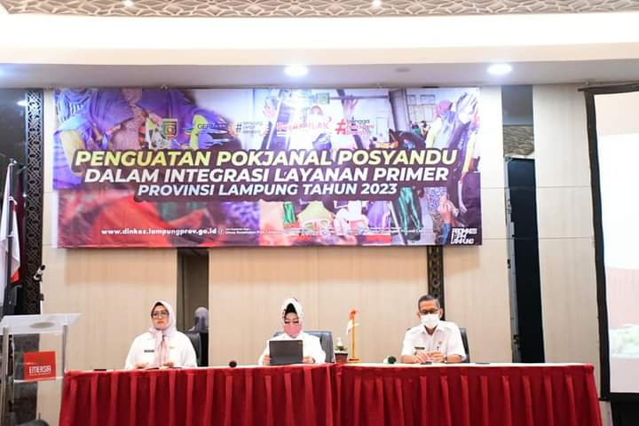Dinkes Lampung Perkuat Pokjanal Posyandu