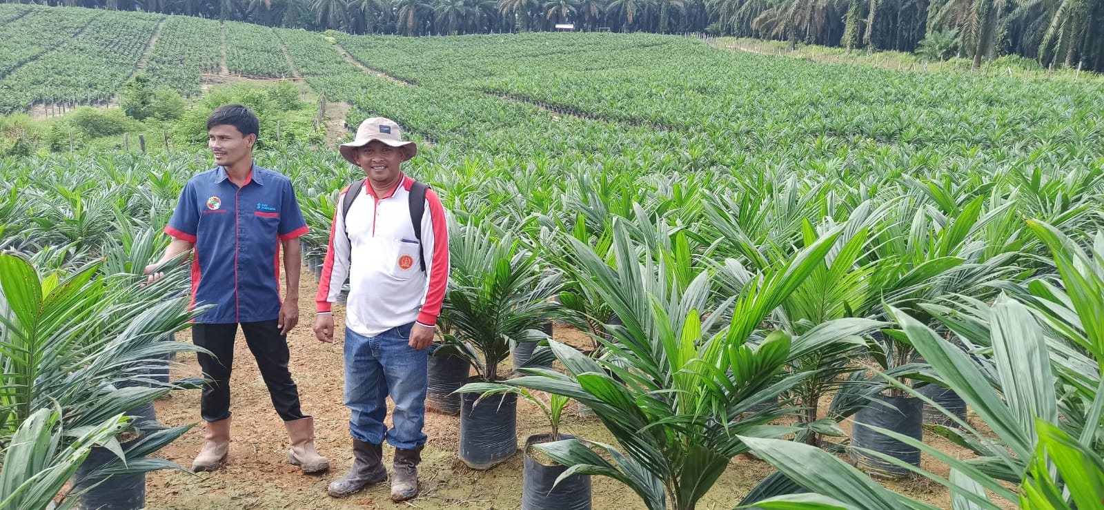 Wawan Setiawan Direktur CV. Manunggal Sawit Sejahtera Memberikan Makna Tahun Baru