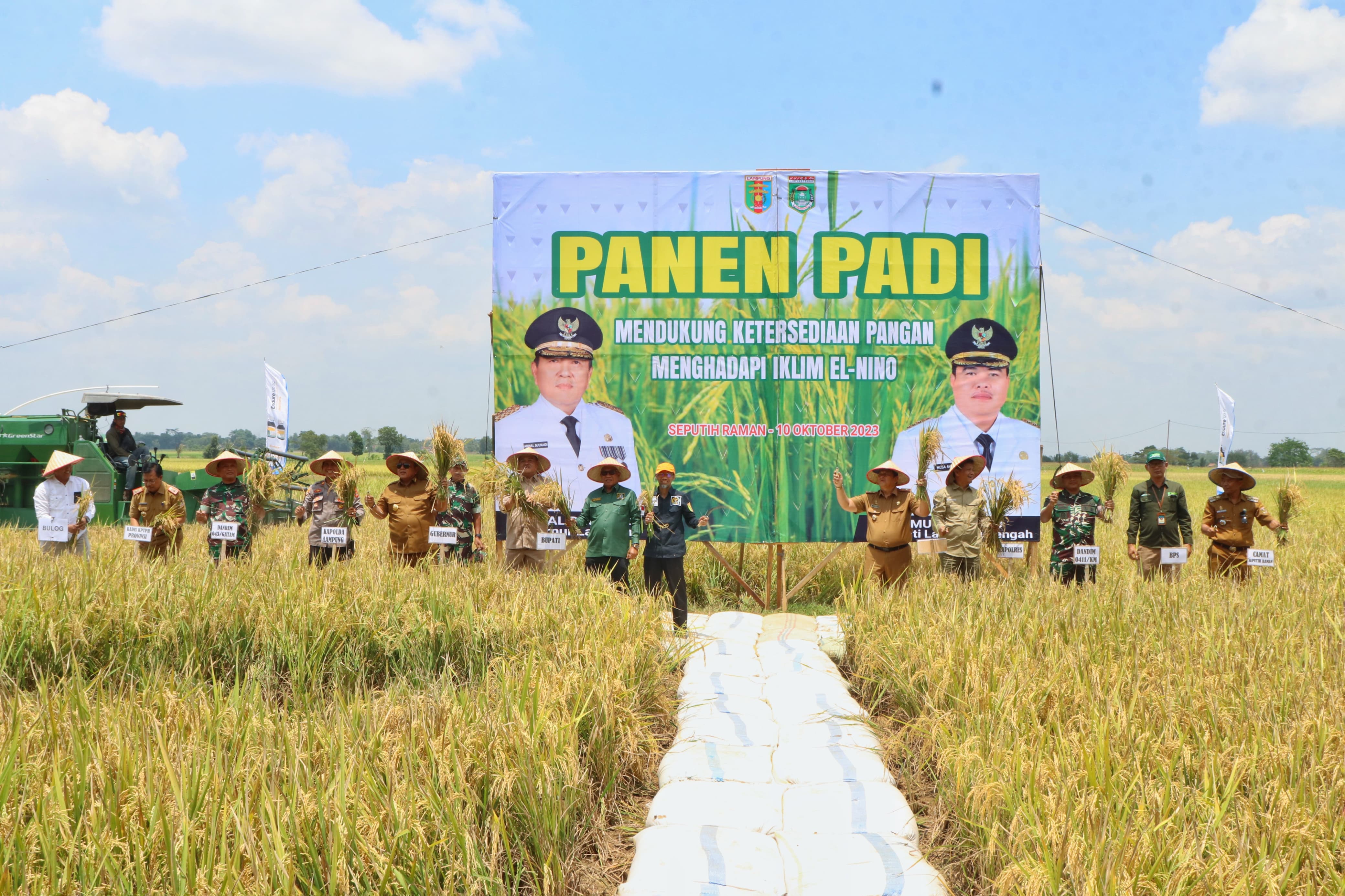 Gubernur Arinal Djunaidi Lakukan Panen Raya Padi di Kabupaten Lampung Tengah