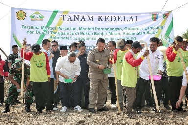Gubernur Arinal Bersama Mentan Syahrul Yasin Limpo dan Mendag Zulkifli Hasan Lakukan Gerakan Tanam Kedelai di Kecamatan Bulog Tanggamus