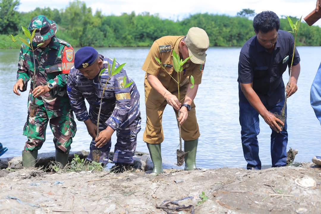 Lestarikan Lingkungan, Bupati Tulang Bawang Tanam 500 Pohon Mangrove