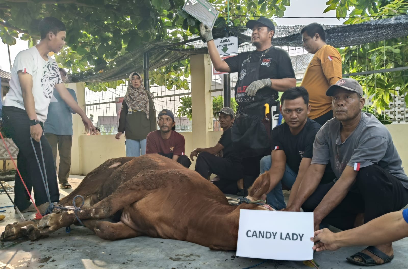Semarak Idul Adha 1446 H di Masjid Al Iman Bumi Puspa Kencana, Bandar Lampung