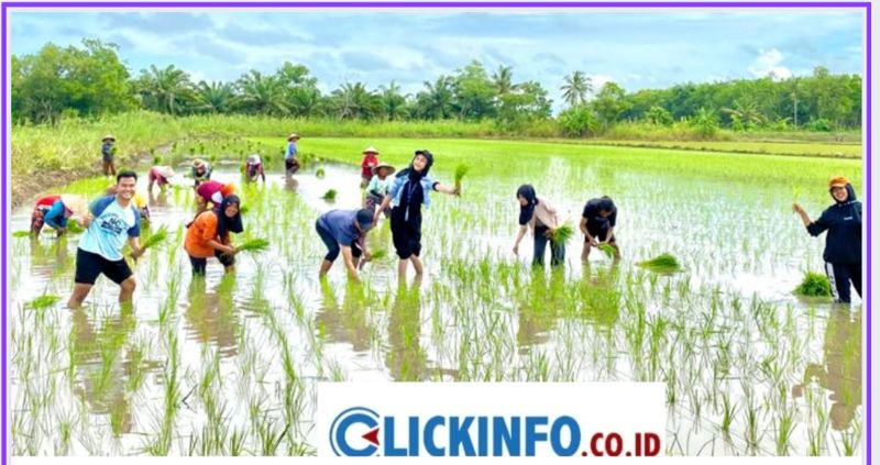 Bermasyarakat, Mahasiswa KKN Universitas Lampung Mengikuti Kegiatan “Nandur” di Desa Tanjung Serayan