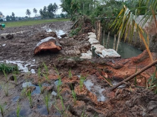 Hujan Lebat di Pekon Waysindi Haluan Rusak Tanggul Tanggul Lampai Banding