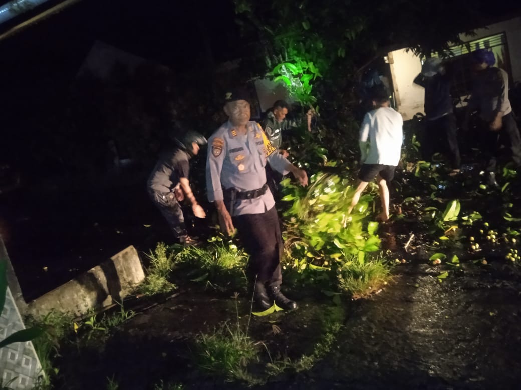 Polsek Pesisir Tengah Bersama Sat Samapta Polres Pesisir Barat Evakuasi Pohon Tumbang