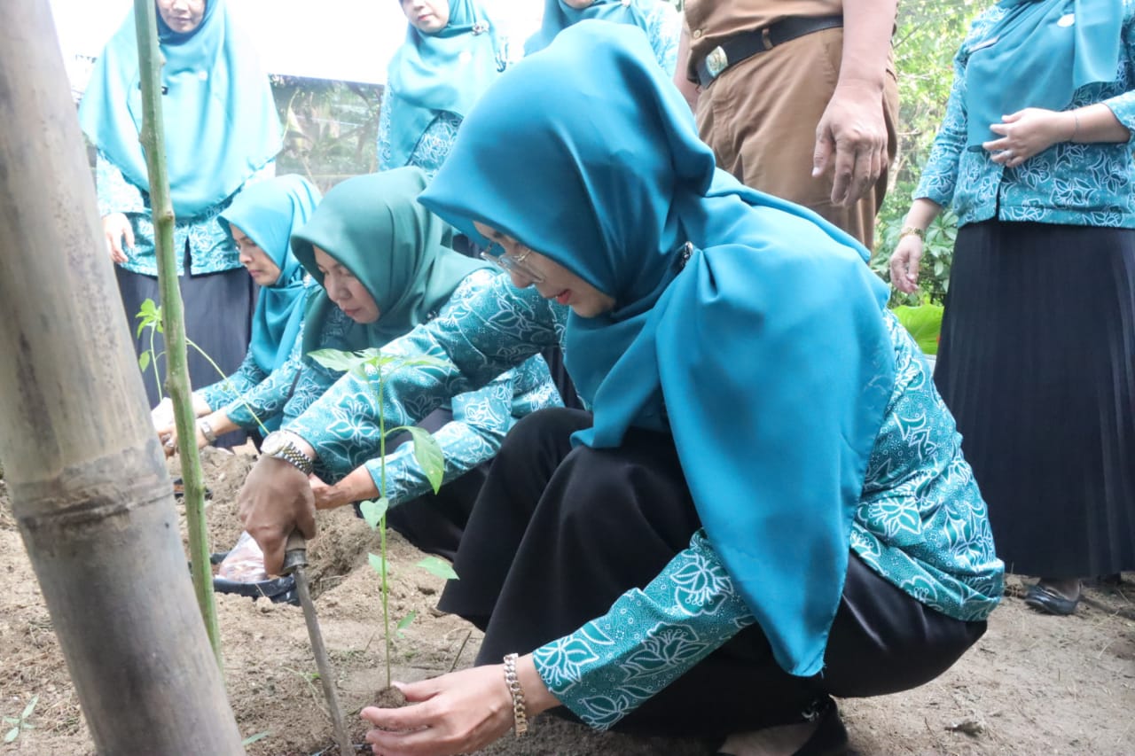 TP-PKK Pesibar Gelar Tanam Cabai Dalam Rangka Peringati HKG PKK KE-52