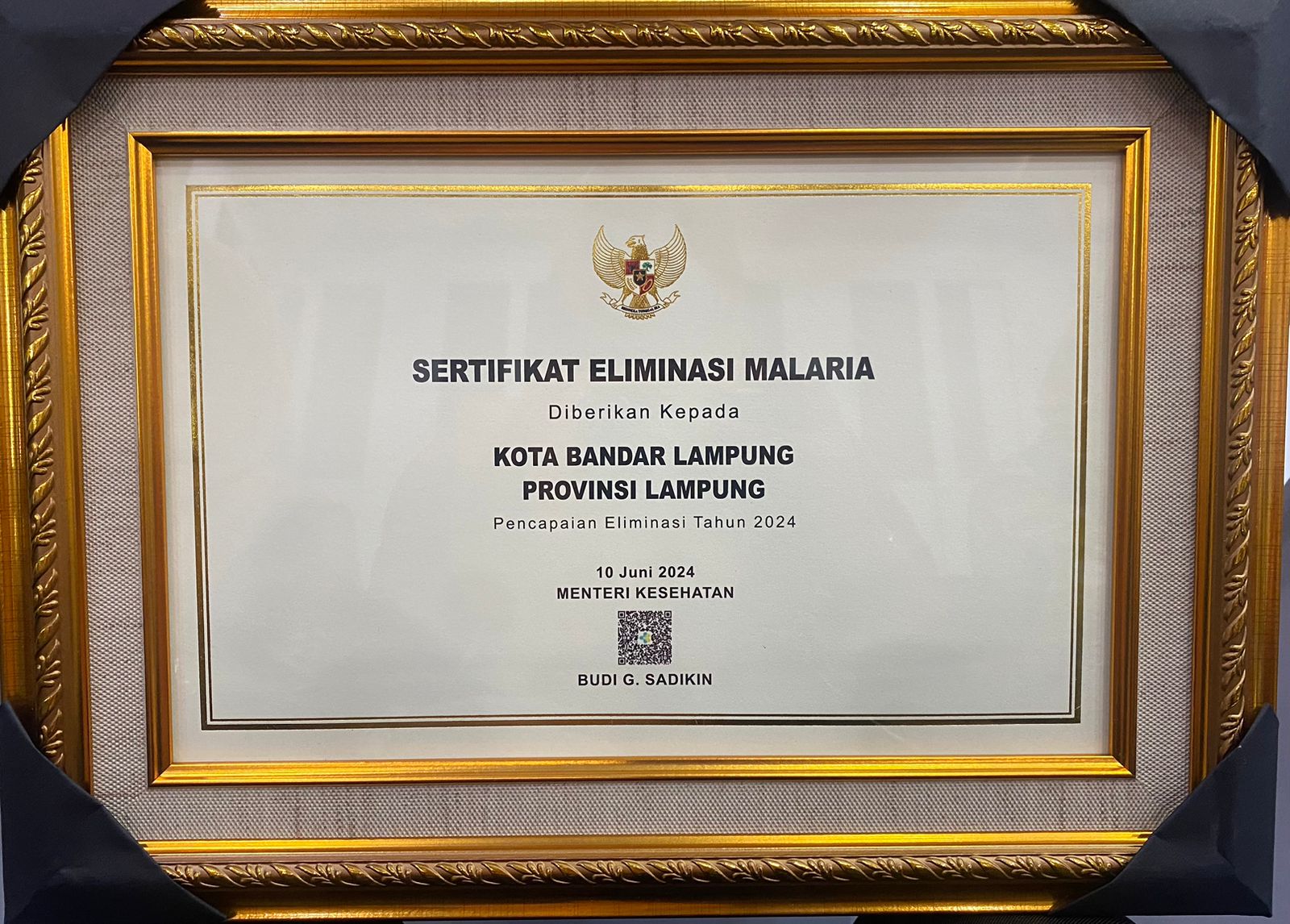 Bandarlampung Raih Sertifikat Eliminasi Malaria dari Kemenkes