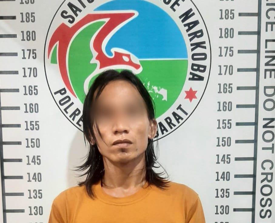 Satresnarkoba Polres Pesisir Barat Ciduk Pengedar Sabu di Pekon Pahmungan