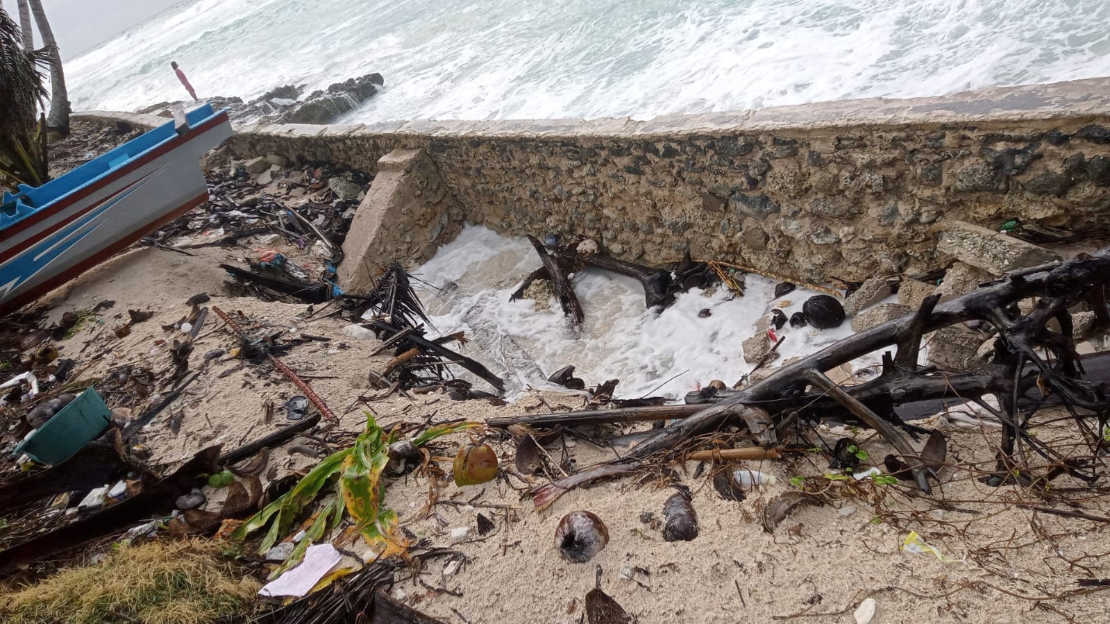 Abrasi Menggerogoti Pulau Pisang Pesibar, Warga Terancam Kehilangan Rumah