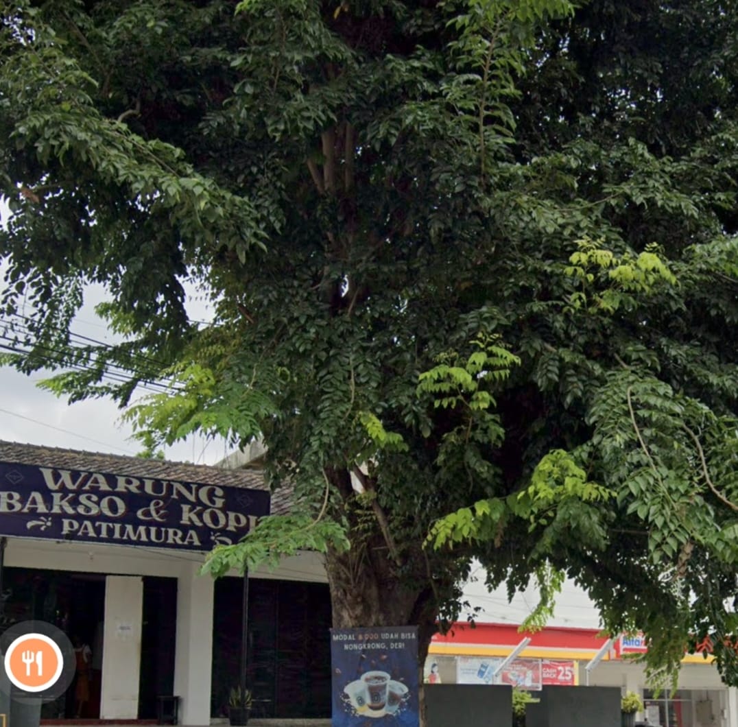 Plh Kepala DLH Bandar Lampung Bungkam Soal Pohon Besar Ancam Warga