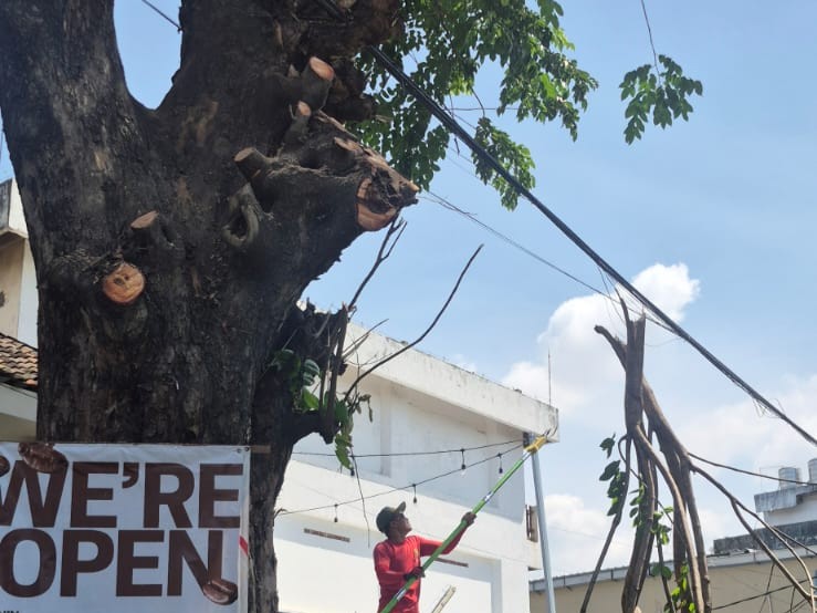 Semrawut dan Berbahaya, Pohon dan Kabel Optik di Jalan Patimura Bandar Lampung Akhirnya Ditertibkan