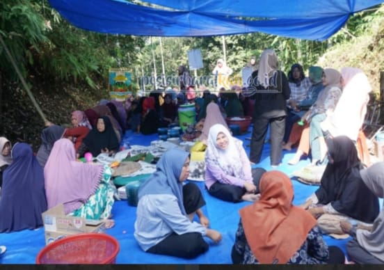 Bupati Agus Istiqlal Ikuti Ngumbai Repong Damar di Way Krui