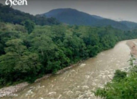 Ketambe: Surga Tersembunyi di Hutan Hujan Tropis Sumatera