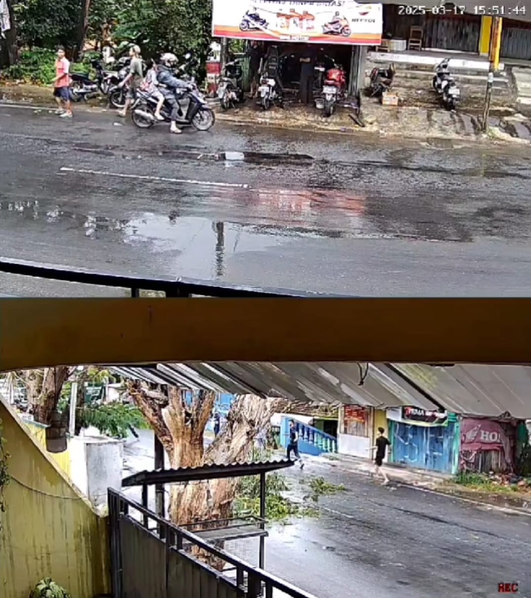 Ranting Pohon Maut, Pengendara Motor Tewas di Bandar Lampung