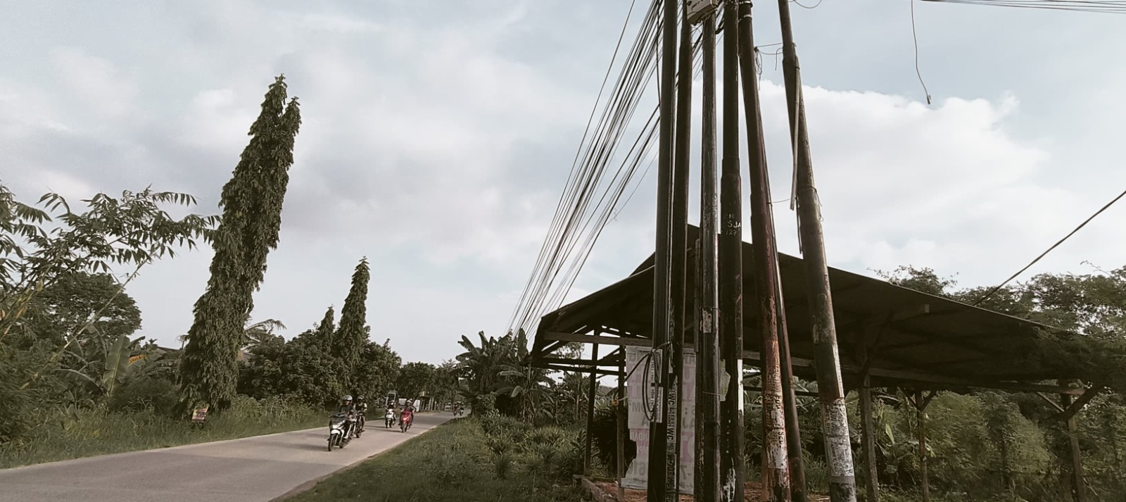 Maraknya Tiang Wifi di Lampung Selatan Tuai Sorotan, Tata Ruang dan Estetika Diabaikan