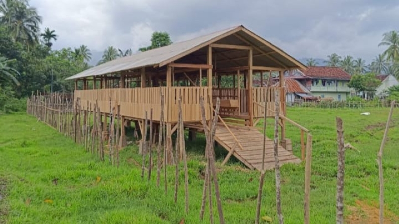 Pesisir Barat Bangun Kandang Kambing untuk Tingkatkan Ketahanan Pangan