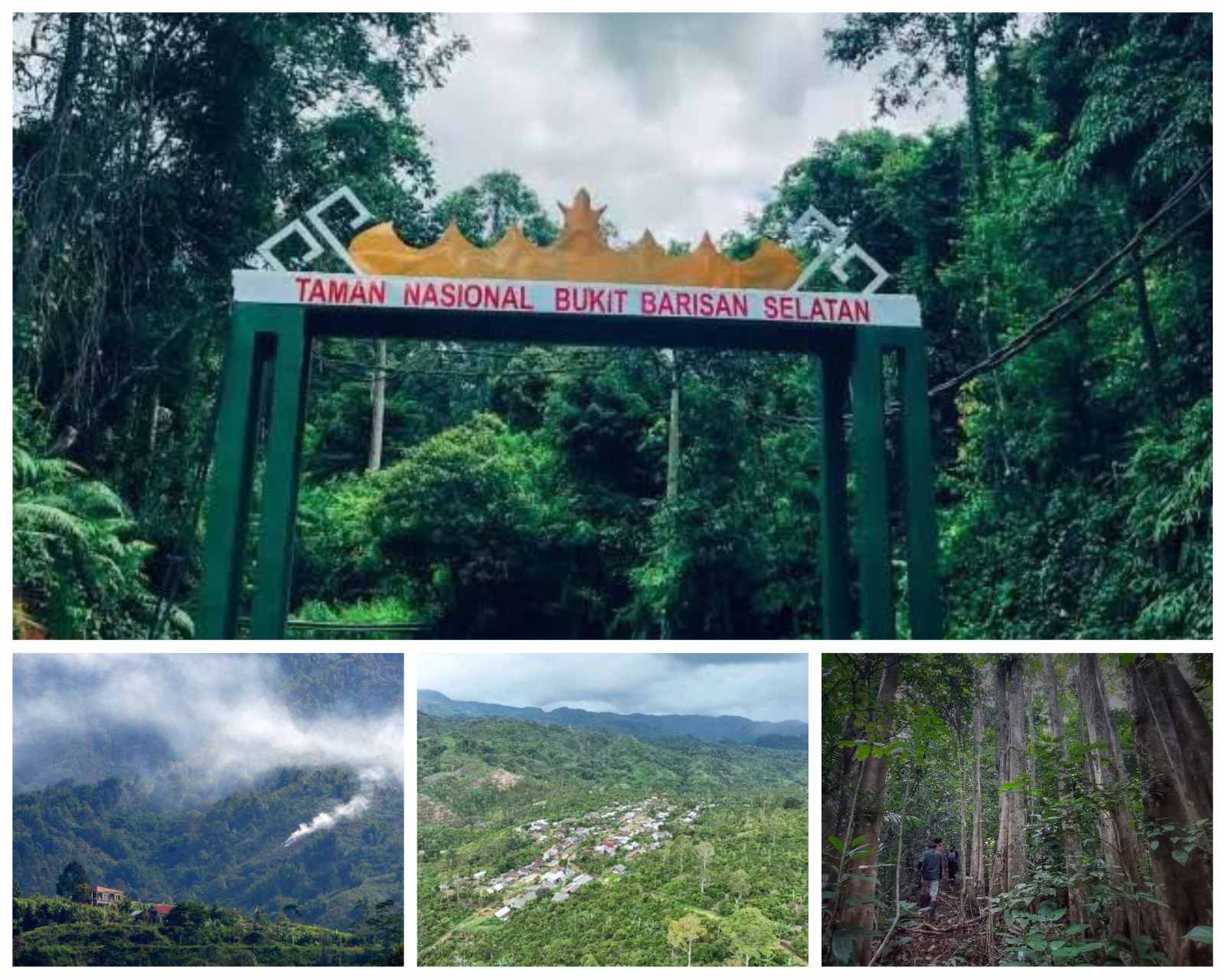 Memulihkan Paru-Paru Lampung: Ujian Berat Rahmat Mirzani Djausal di TNBBS