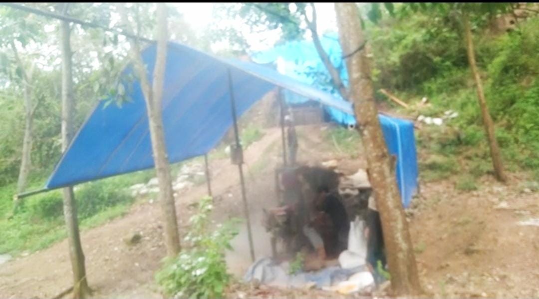 Alzier Dianis Thabranie: Tangkap Dan Proses Hukum Penambang Emas Liar Di Lampung Selatan