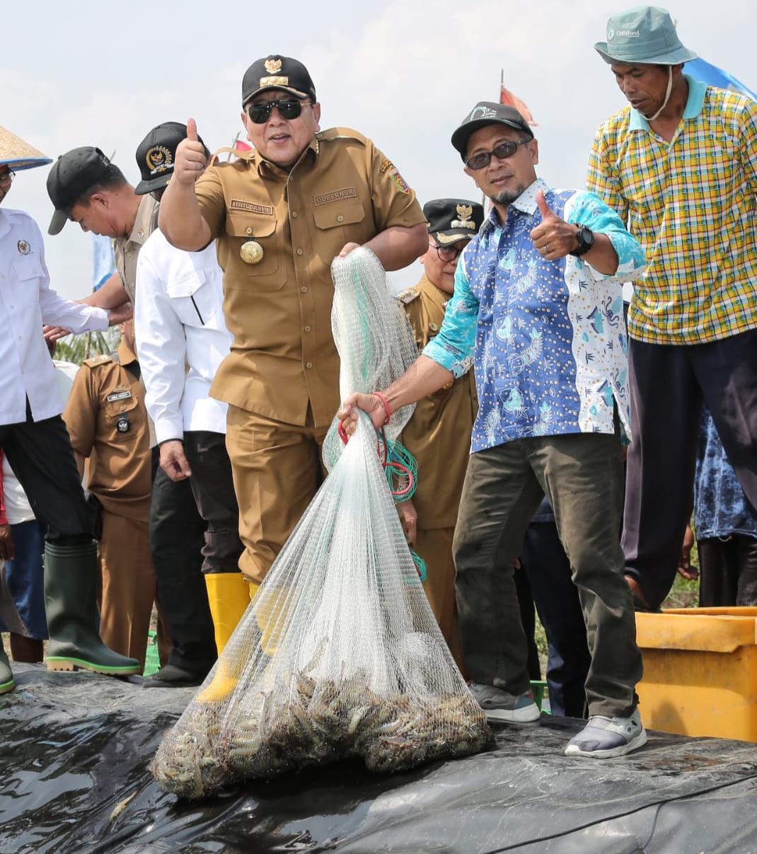 Gubernur Arinal Dorong Pertambakan Udang di Lampung Bangkit Dan Berjaya Kembali