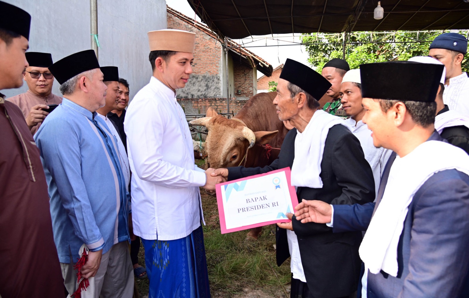 Bupati Egi Salurkan Sapi Kurban Presiden Prabowo di Lampung Selatan
