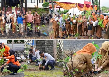Kampanye Pohon Asuh, Pemkab Lampung Selatan Libatkan Ribuan PPPK Paruh Waktu