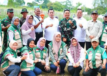Banyuasin Panen Raya 4 Ton Cabai, Perkuat Ketahanan Pangan Daerah