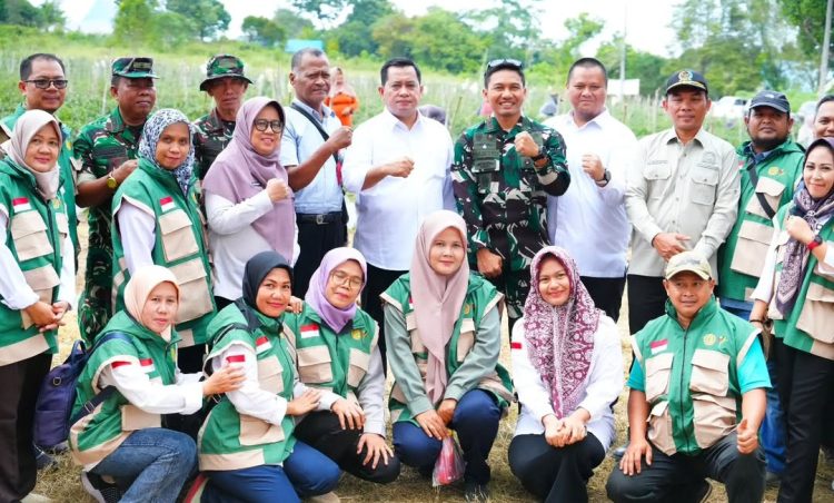 Banyuasin Panen Raya 4 Ton Cabai, Perkuat Ketahanan Pangan Daerah