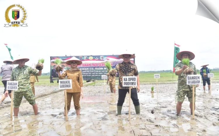 Ketua DPRD Lampung Suarakan Kesejahteraan Petani dalam Aksi Tanam Padi Bersama Forkopimda