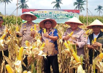 Sinergi Polri dan Pemda Lampung Selatan Sukseskan Program Sasembada Pangan Nasional