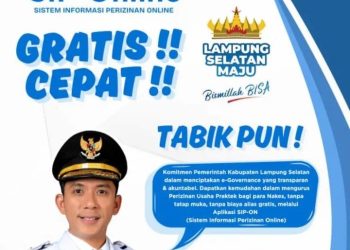 Pemkab Lamsel Hadirkan Layanan Perizinan Online, Praktis dan Efisien untuk Nakes