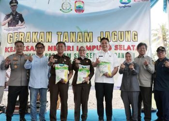 Dorong Ketahanan Pangan, Bupati dan Kajati Lampung Tanam Jagung di Kalianda