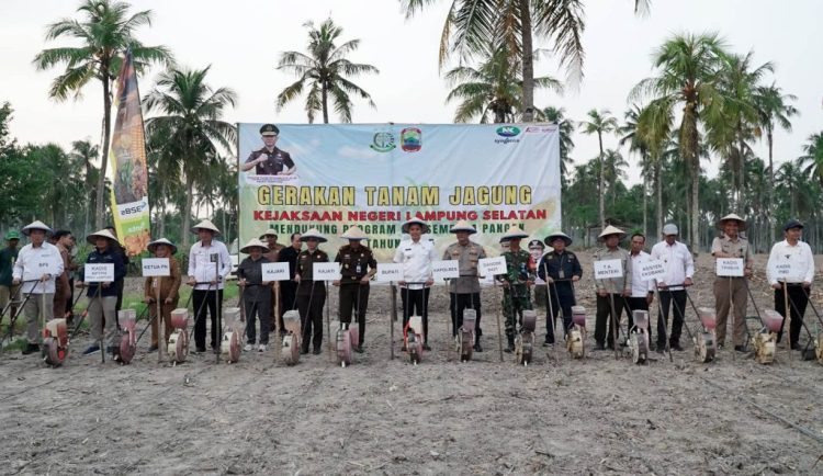 Aksi Nyata! Bupati Egi dan Kajati Tanam Jagung Bareng, Demi Ketahanan Pangan & Kesejahteraan Petani