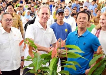 Lampung Selatan Dapat 7.000 Bibit Kopi-Kakao untuk Ketahanan Pangan