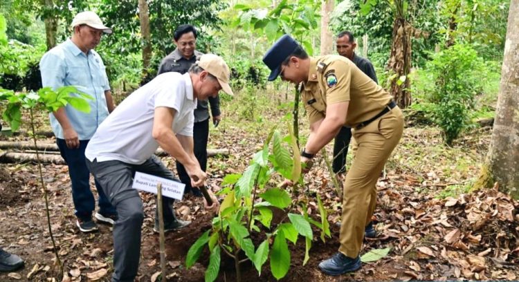 Gunung Rajabasa Dijaga, Kesejahteraan Petani Diperkuat lewat Program Pangan Berbasis Hutan
