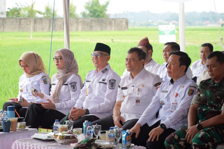 Produksi Padi Lampung Naik 15 Persen, Prabowo Optimistis Swasembada Pangan