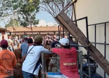 Pasar Sapi Wonoasih Darurat Keamanan, Pedagang Sidoarjo Jadi Korban Penipuan