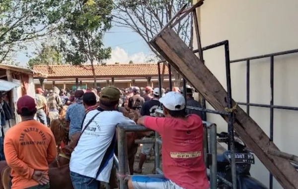 Pasar Sapi Wonoasih Darurat Keamanan, Pedagang Sidoarjo Jadi Korban Penipuan
