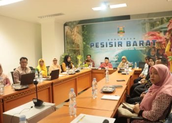 Wakil Bupati Pesisir Barat Ikuti Rapat Virtual Kemenkes RI Bahas Pemenuhan SDMK RS PHTC