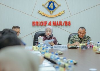 Kasus Malaria Meningkat, Wagub Jihan Desak Pesawaran Bentuk Tim Percepatan Eliminasi