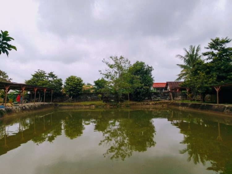 Cukup Bayar Rp10 Ribu, Pondok Pemancingan Muara Kati Jadi Destinasi Baru Pecinta Mancing di Palembang