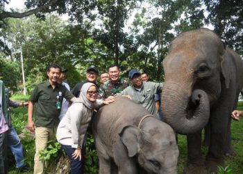 Jadi Prioritas Presiden Prabowo, Way Kambas Jadi Percontohan Konservasi Nasional