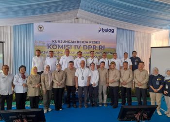 Bulog Sumsel-Babel Jaga Kualitas Stok Lama, DPR RI Minta Distribusi Dipercepat