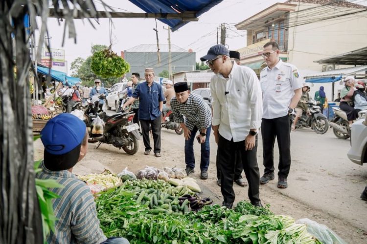 Komitmen Infrastruktur, Gubernur Lampung Pastikan Perbaikan Ruas Strategis di Jati Agung
