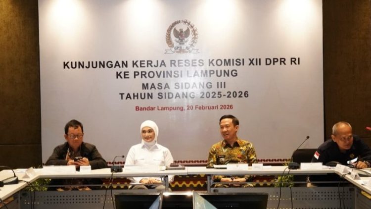 Komisi XII DPR RI dan Pemprov Lampung Bahas Survei Seismik 2D dan Penguatan Sektor Energi