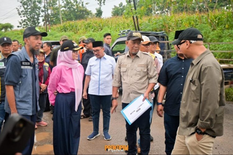 Sinergi Pemprov dan Pemkab Pesawaran: Perbaikan Jalan Gedong Tataan-Kedondong Dimulai Pasca Lebaran
