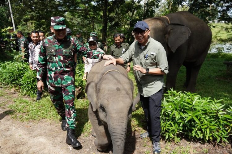 Pemerintah Kucurkan Rp 839 Miliar untuk Way Kambas, Gubernur Lampung Dukung Penanganan Konflik Manusia dan Gajah