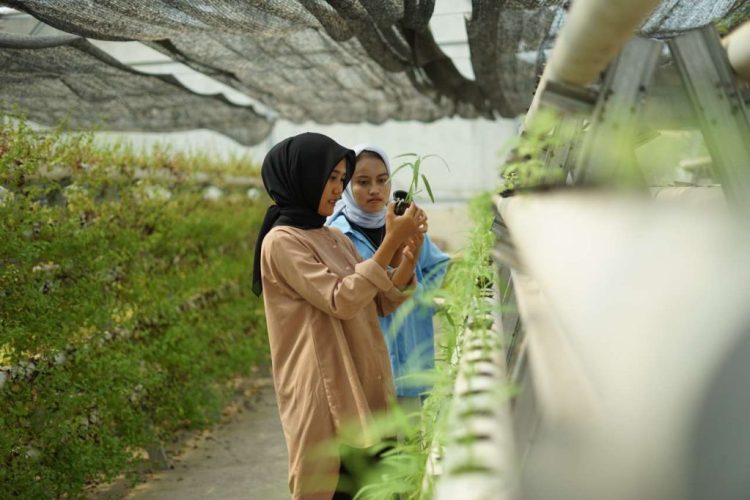 Cara Daftar UM-PTKIN 2026 di UIN Raden Intan Lampung, Kuota 31 Prodi Menanti