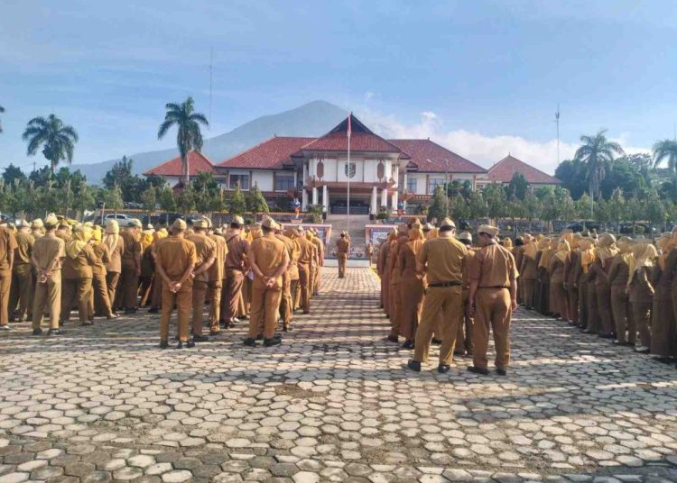 Soroti Kemandirian Fiskal, Pemkab Tanggamus Targetkan Reformasi Pelayanan Publik