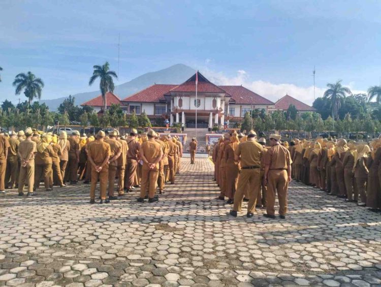 Soroti Kemandirian Fiskal, Pemkab Tanggamus Targetkan Reformasi Pelayanan Publik
